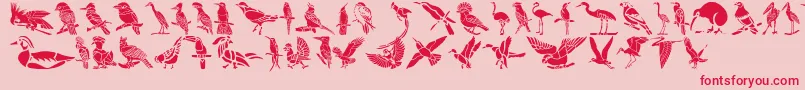 HFF Bird Stencil Font – Red Fonts on Pink Background