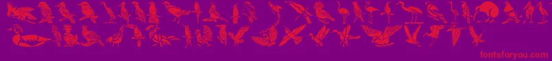 HFF Bird Stencil Font – Red Fonts on Purple Background