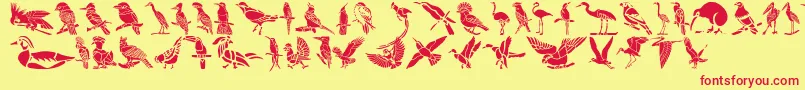 HFF Bird Stencil Font – Red Fonts on Yellow Background