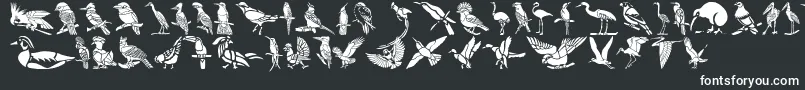 Fonte HFF Bird Stencil – fontes brancas em um fundo preto