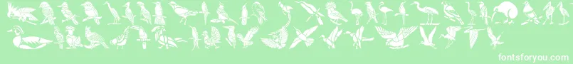 fuente HFF Bird Stencil – Fuentes Blancas Sobre Fondo Verde