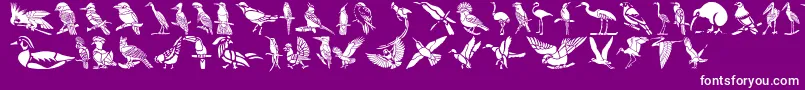 Police HFF Bird Stencil – polices blanches sur fond violet