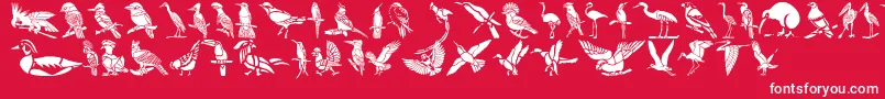 Police HFF Bird Stencil – polices blanches sur fond rouge