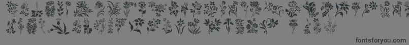 Czcionka HFF Floral Stencil – czarne czcionki na szarym tle