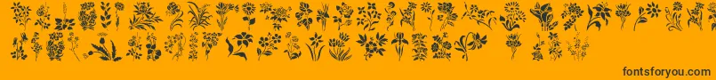 Шрифт HFF Floral Stencil – чёрные шрифты на оранжевом фоне