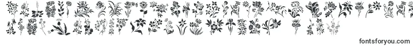 HFF Floral Stencil Font – Nature Fonts