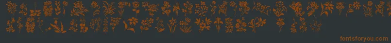 フォントHFF Floral Stencil – 黒い背景に茶色のフォント