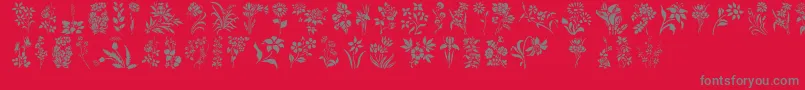 HFF Floral Stencil Font – Gray Fonts on Red Background