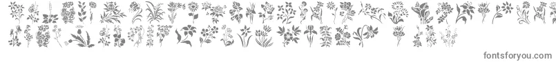 フォントHFF Floral Stencil – 白い背景に灰色の文字