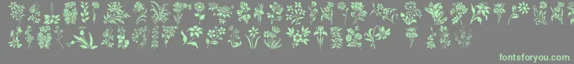 HFF Floral Stencil-Schriftart – Grüne Schriften auf grauem Hintergrund