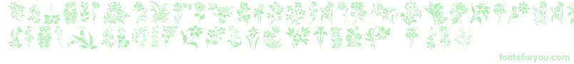 HFF Floral Stencil Font – Green Fonts on White Background