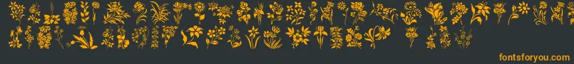Czcionka HFF Floral Stencil – pomarańczowe czcionki na czarnym tle