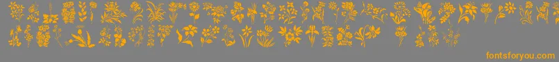 fuente HFF Floral Stencil – Fuentes Naranjas Sobre Fondo Gris