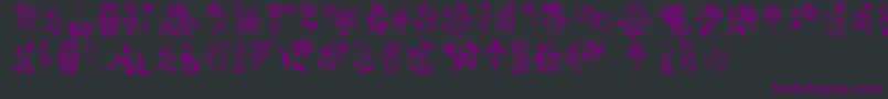 Czcionka HFF Floral Stencil – fioletowe czcionki na czarnym tle