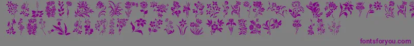 Czcionka HFF Floral Stencil – fioletowe czcionki na szarym tle