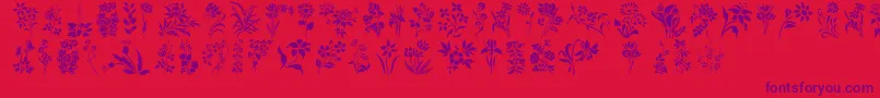 Police HFF Floral Stencil – polices violettes sur fond rouge