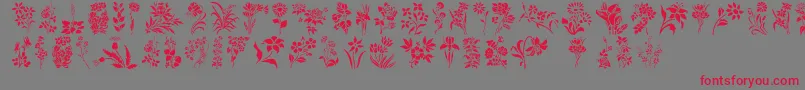 HFF Floral Stencil Font – Red Fonts on Gray Background