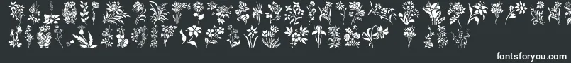 Шрифт HFF Floral Stencil – белые шрифты