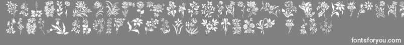 HFF Floral Stencil Font – White Fonts on Gray Background