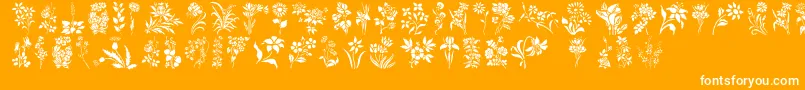 fuente HFF Floral Stencil – Fuentes Blancas Sobre Fondo Naranja