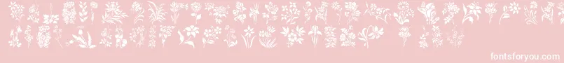 Police HFF Floral Stencil – polices blanches sur fond rose