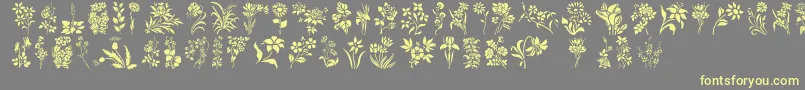 Czcionka HFF Floral Stencil – żółte czcionki na szarym tle