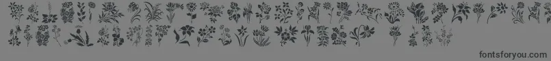 Fonte HFF Floral Stencil – fontes pretas em um fundo cinza
