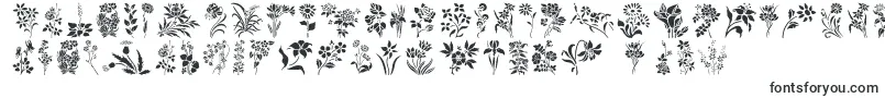 fuente HFF Floral Stencil – Fuentes de Microsoft Office