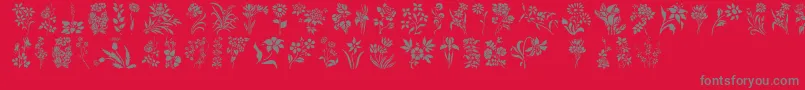 HFF Floral Stencil Font – Gray Fonts on Red Background