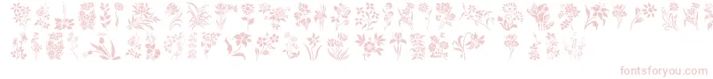 フォントHFF Floral Stencil – 白い背景にピンクのフォント