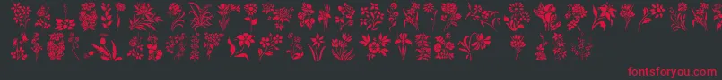 Шрифт HFF Floral Stencil – красные шрифты на чёрном фоне