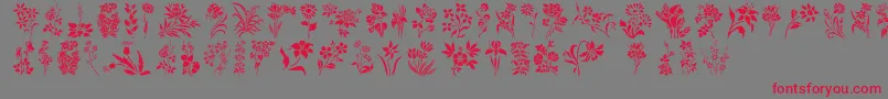 Police HFF Floral Stencil – polices rouges sur fond gris