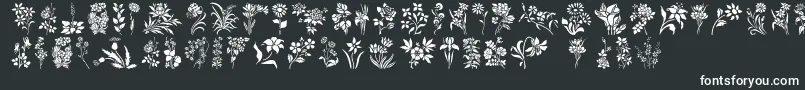 fuente HFF Floral Stencil – Fuentes Blancas Sobre Fondo Negro