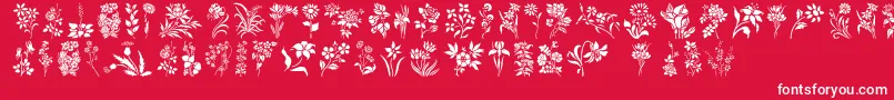 HFF Floral Stencil-Schriftart – Weiße Schriften auf rotem Hintergrund