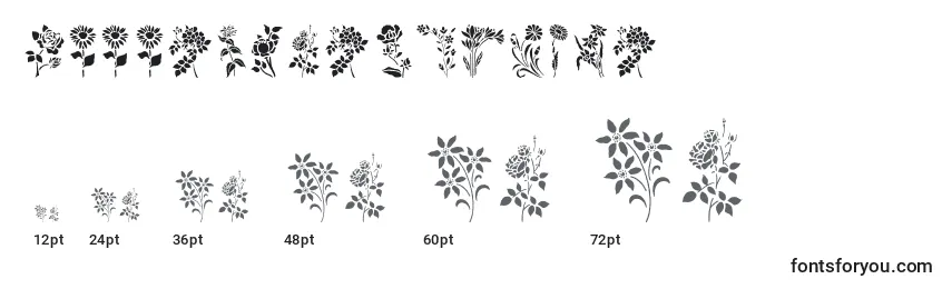 Tamaños de fuente HFF Floral Stencil (129556)