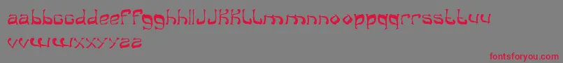 Midnightshow Font – Red Fonts on Gray Background