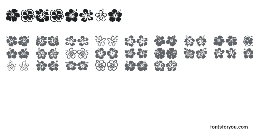 Hibiscus (129607)-fontti – aakkoset, numerot, erikoismerkit