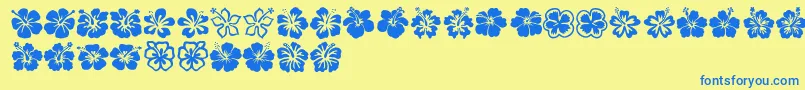 Hibiscus Font – Blue Fonts on Yellow Background