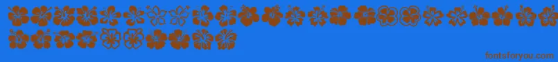 Hibiscus Font – Brown Fonts on Blue Background