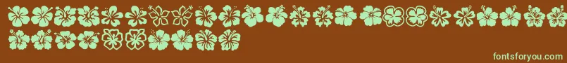 Hibiscus Font – Green Fonts on Brown Background