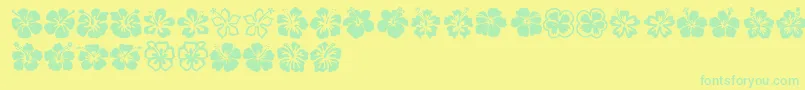 Hibiscus Font – Green Fonts on Yellow Background