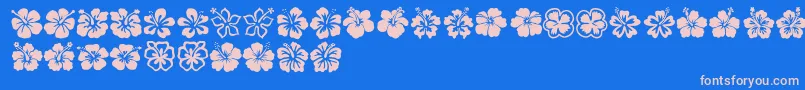 フォントHibiscus – ピンクの文字、青い背景