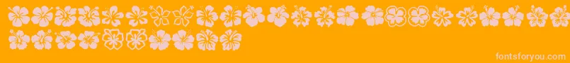 Hibiscus Font – Pink Fonts on Orange Background