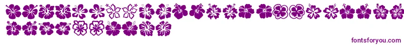 Police Hibiscus – polices violettes sur fond blanc