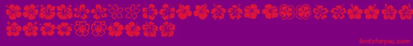 Hibiscus-Schriftart – Rote Schriften auf violettem Hintergrund