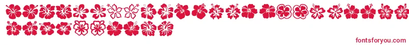 フォントHibiscus – 赤い文字