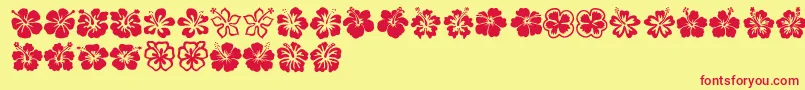 Hibiscus Font – Red Fonts on Yellow Background