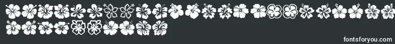 Hibiscus-fontti – valkoiset fontit