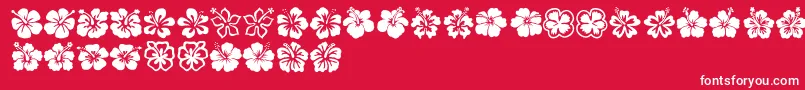 フォントHibiscus – 赤い背景に白い文字