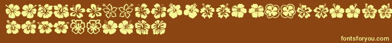 Hibiscus Font – Yellow Fonts on Brown Background